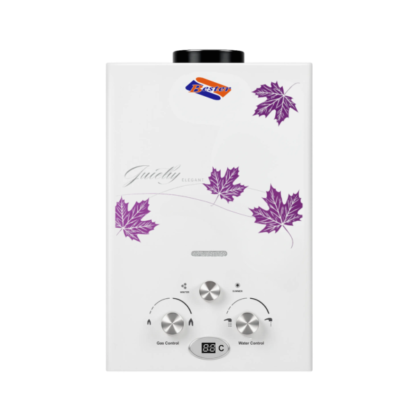 Bester Instant Gas Water Heater | Paint Body | 6L / 8L / 10L | Natural Gas & LPG Variants